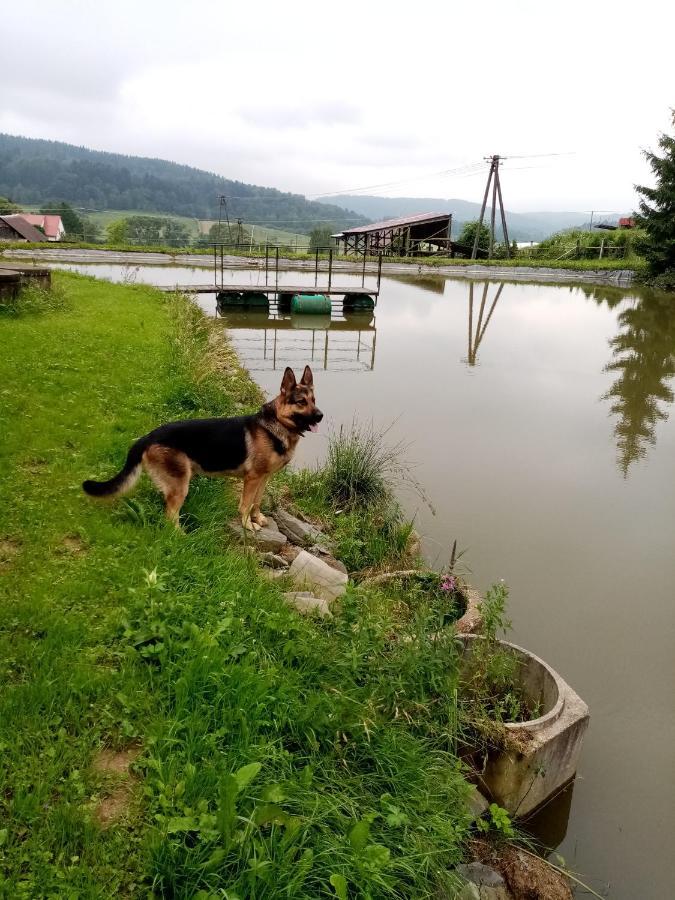 ホテル Przy Winogronie Uherce Mineralne エクステリア 写真